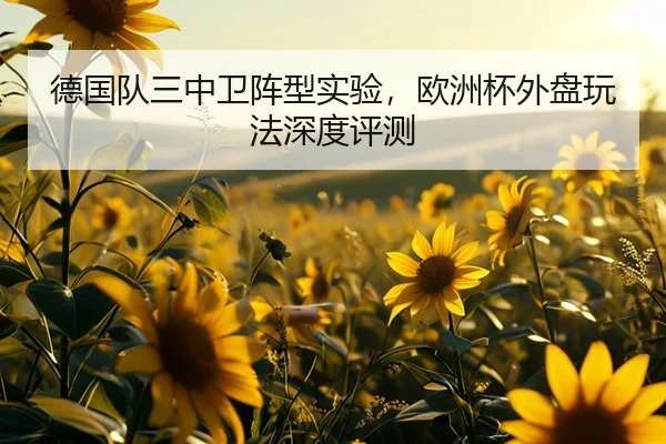 德国队三中卫阵型实验，欧洲杯外盘玩法深度评测
